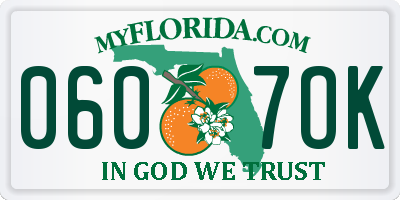 FL license plate 0607OK