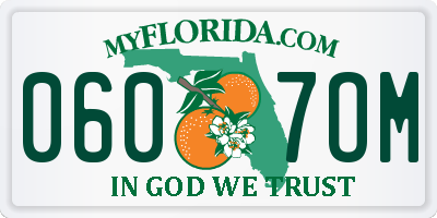 FL license plate 0607OM