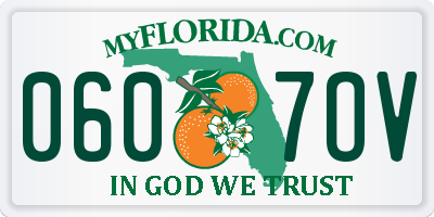 FL license plate 0607OV