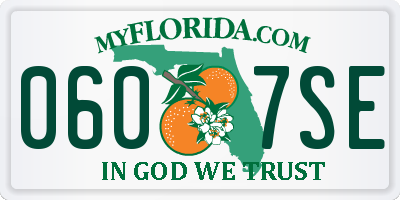 FL license plate 0607SE