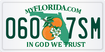 FL license plate 0607SM
