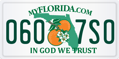 FL license plate 0607SO