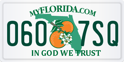 FL license plate 0607SQ