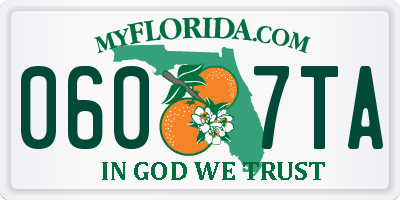 FL license plate 0607TA
