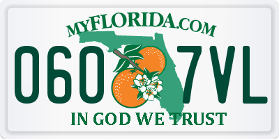 FL license plate 0607VL