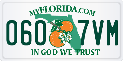 FL license plate 0607VM