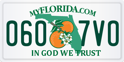 FL license plate 0607VO