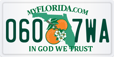 FL license plate 0607WA
