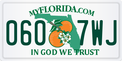 FL license plate 0607WJ