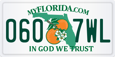 FL license plate 0607WL