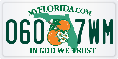 FL license plate 0607WM