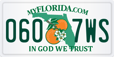 FL license plate 0607WS