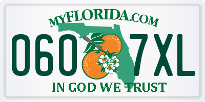 FL license plate 0607XL