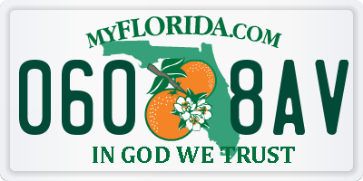 FL license plate 0608AV
