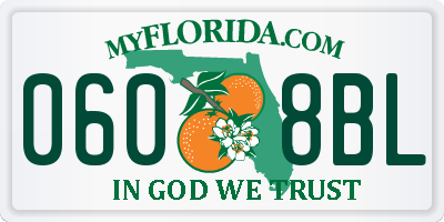 FL license plate 0608BL