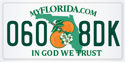 FL license plate 0608DK