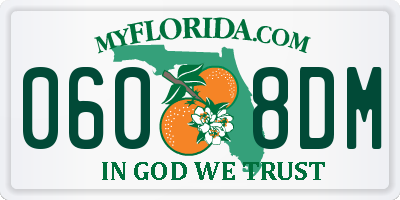 FL license plate 0608DM