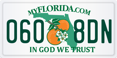 FL license plate 0608DN