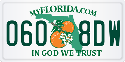 FL license plate 0608DW