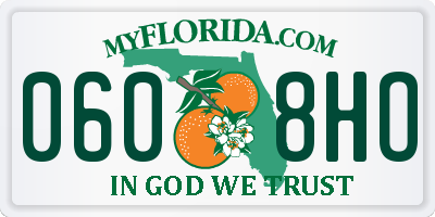 FL license plate 0608HO