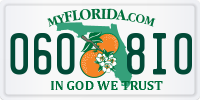 FL license plate 0608IO