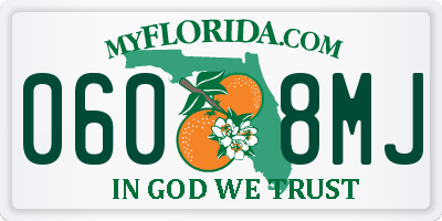 FL license plate 0608MJ