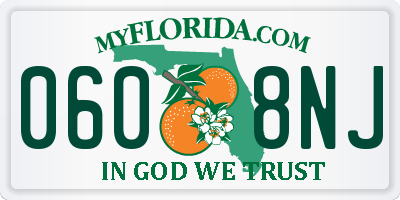 FL license plate 0608NJ