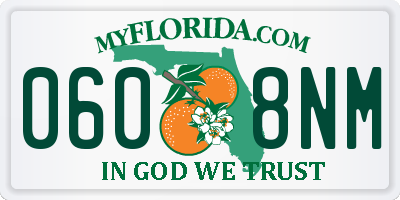 FL license plate 0608NM