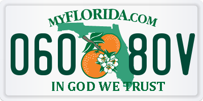 FL license plate 0608OV