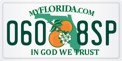 FL license plate 0608SP