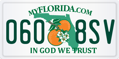 FL license plate 0608SV