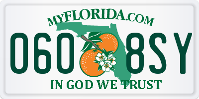 FL license plate 0608SY