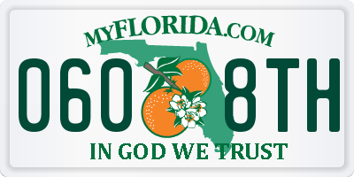 FL license plate 0608TH