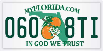 FL license plate 0608TI