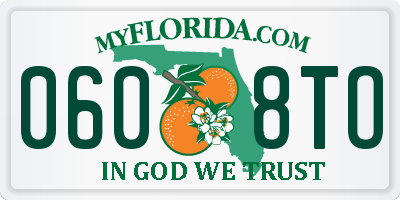 FL license plate 0608TO
