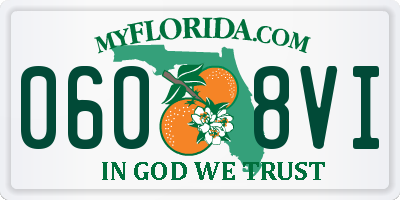 FL license plate 0608VI