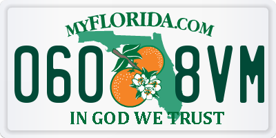 FL license plate 0608VM