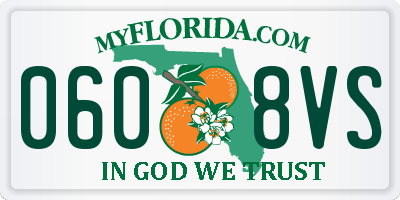 FL license plate 0608VS