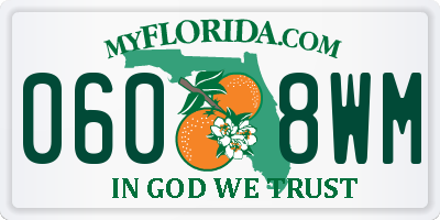 FL license plate 0608WM