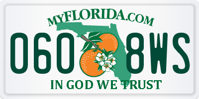 FL license plate 0608WS