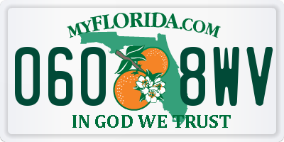 FL license plate 0608WV