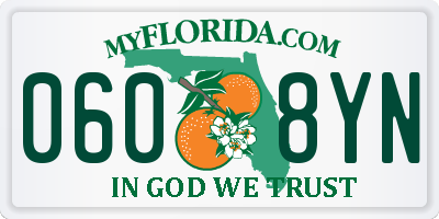 FL license plate 0608YN