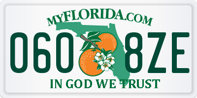 FL license plate 0608ZE