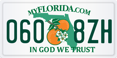 FL license plate 0608ZH