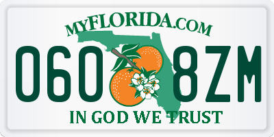 FL license plate 0608ZM