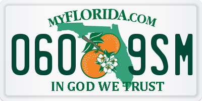 FL license plate 0609SM