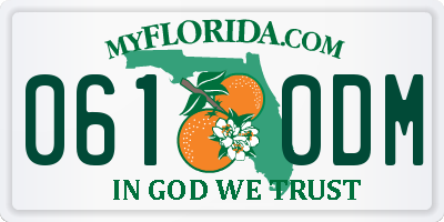 FL license plate 0610DM