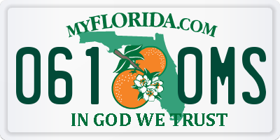 FL license plate 0610MS