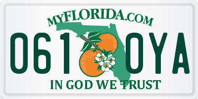FL license plate 0610YA