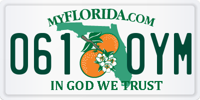 FL license plate 0610YM